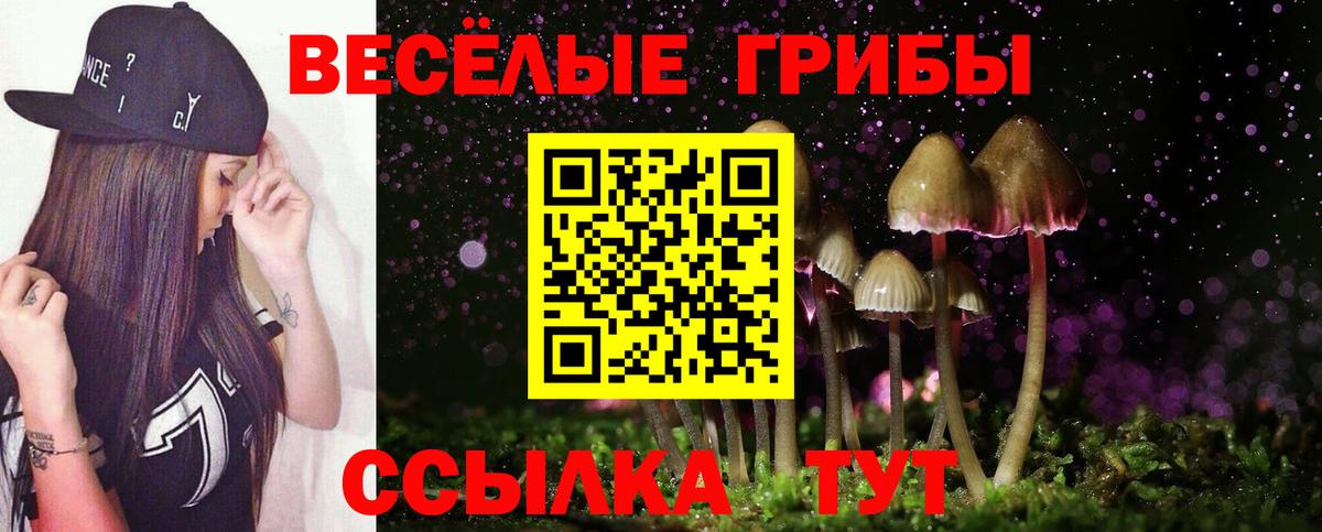 Галлюциногенные грибы Cubensis  Вход с VPN  Учалы 