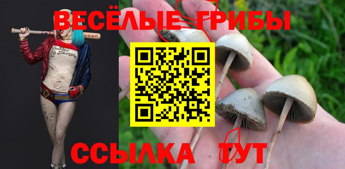 Галлюциногенные грибы мухоморы Учалы